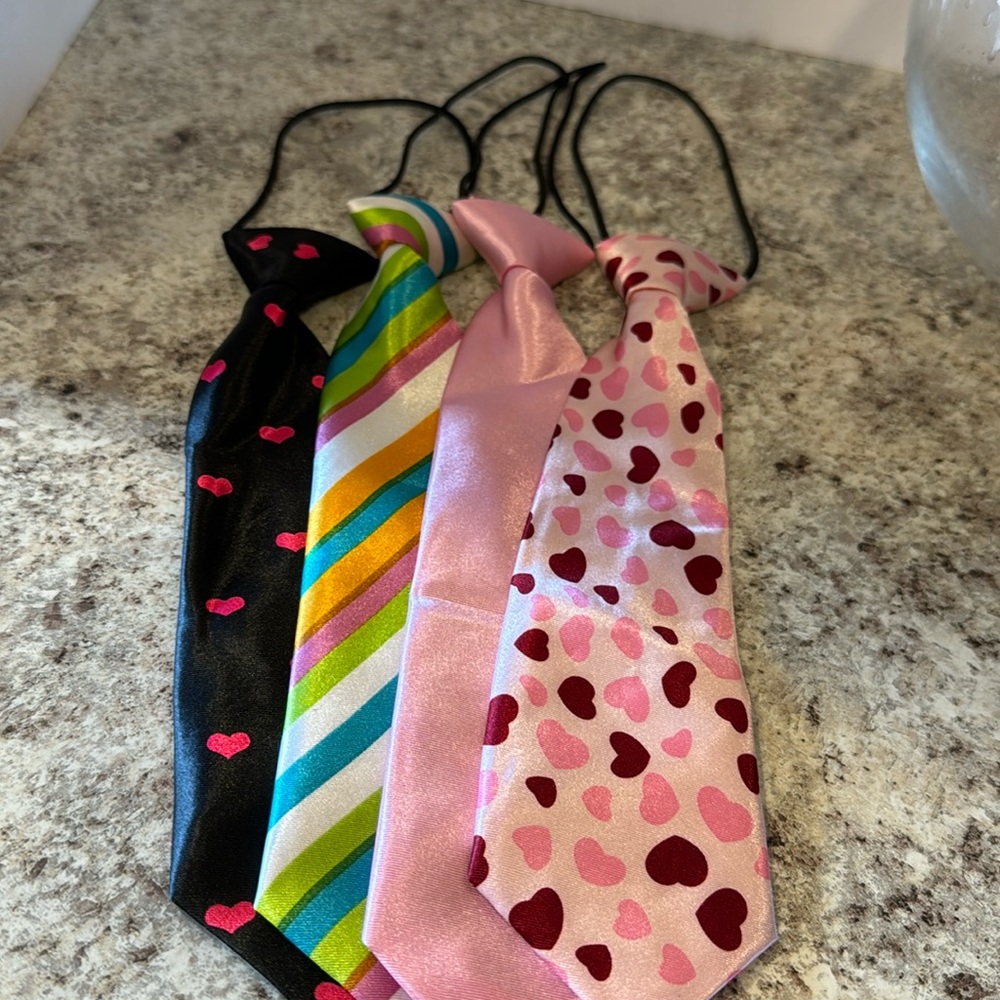 Tie 10 inch unisex ties set of 4. Attached elastic cord goes under the collar